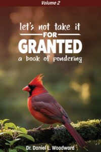 Let’s Not Take it for Granted – Volume 2